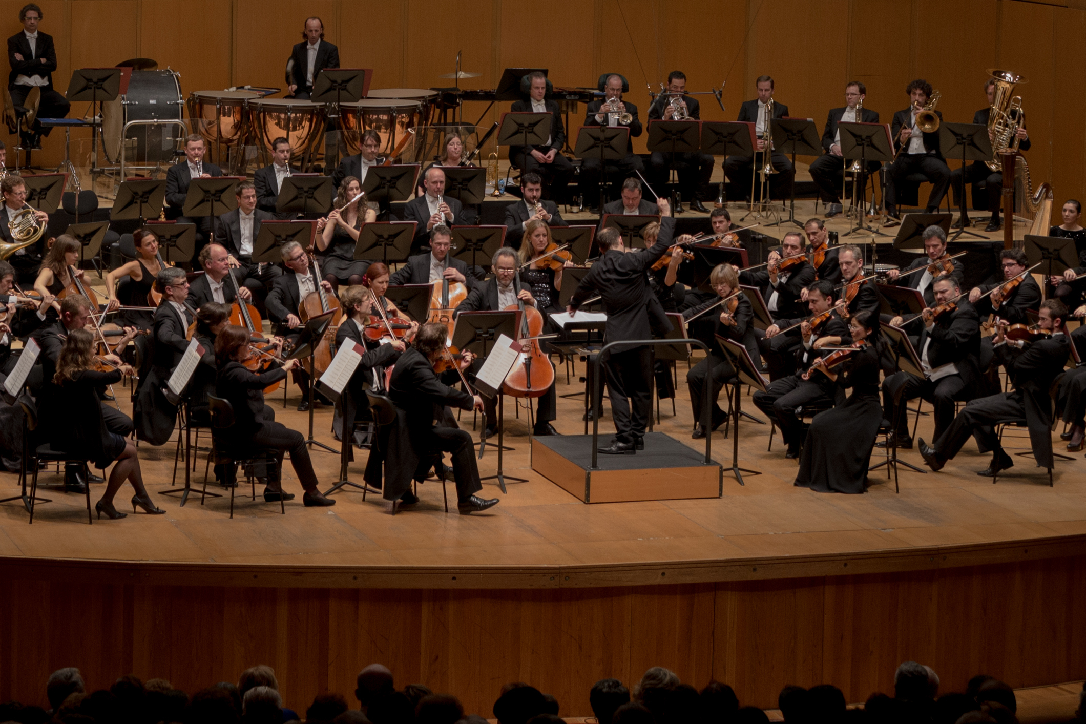 Cobertura de Eventos / Events — fotografía 9
